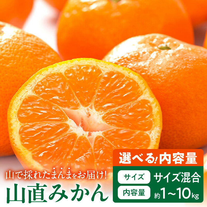 [2025年先行予約] みかん 山から直送 鮮度優先 ごろごろ規格 秀品 優品 良品 混合 選べる 内容量 箱込 1kg 〜 10kg 有田みかん 和歌山県産 産地直送 みかんの会 フルーツ デザート お取り寄せ 和歌山県 湯浅町 送料無料