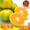 【ふるさと納税】【限定】 【2025年先行予約】 ゆら早生 みかん 小玉 2Sサイズ 以下 秀優混合 選べる 内容量 箱込 2.5kg ~ 10kg 有田みかん 和歌山県産 爽やか 酸味 濃い味わい 秋みかん 糖度 高い みかんの会 フルーツ デザート お取り寄せ 和歌山県 湯浅町 送料無料