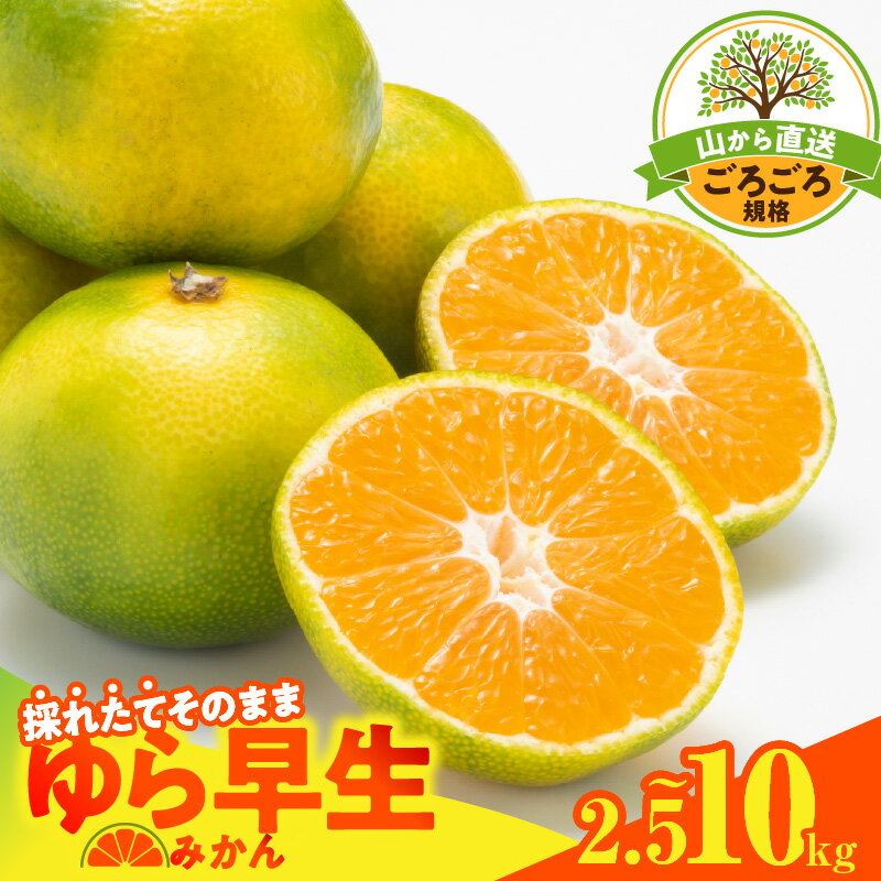 楽天市場】早生みかん 10kgの通販