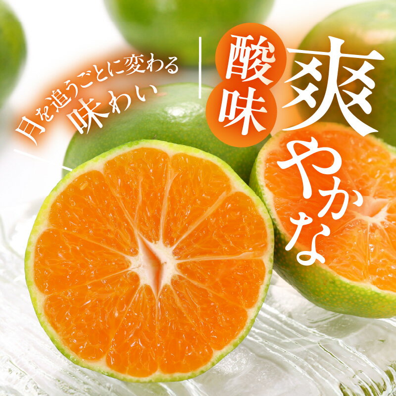 【ふるさと納税】【2025年先行予約】 みかん 極早生 おまかせサイズ （S/M/L） 秀品 優品 混合 選べる 内容量 箱込 2.5kg ～ 10kg 有田みかん 和歌山県産 さわやか 口当たり 酸味 甘み さっぱり みかんの会 フルーツ デザート お取り寄せ 和歌山県 湯浅町 送料無料