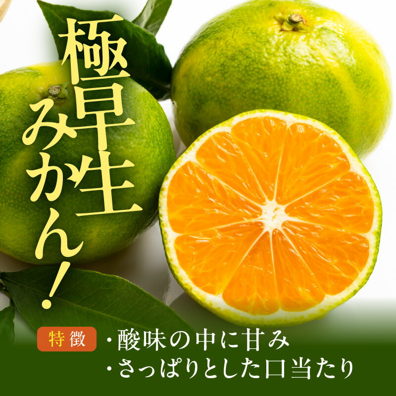【ふるさと納税】【2025年先行予約】 みかん 極早生 おまかせサイズ （S/M/L） 秀品 優品 混合 選べる 内容量 箱込 2.5kg ～ 10kg 有田みかん 和歌山県産 さわやか 口当たり 酸味 甘み さっぱり みかんの会 フルーツ デザート お取り寄せ 和歌山県 湯浅町 送料無料
