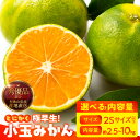 【ふるさと納税】【限定】 【2025年先行予約】 小玉 みかん 極早生 2Sサイズ以下 秀品 優品 混合 選べる 内容量 箱込 2.5kg ~ 10kg 有田みかん 和歌山県産 さわやか 酸味 甘み さっぱり 口当たり みかんの会 フルーツ デザート お取り寄せ 和歌山県 湯浅町 送料無料(4)