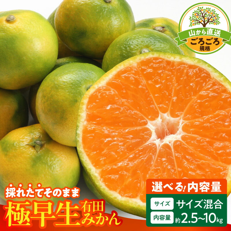 [限定]みかん 極早生 選べる 内容量 箱込 2.5kg 〜 10kg サイズ 秀品 優品 良品 混合 採れたて ごろごろ規格 有田みかん 新鮮 和歌山県産 フルーツ デザート 和歌山県 湯浅町 お取り寄せ お取り寄せフルーツ みかんの会 送料無料