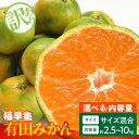 【ふるさと納税】 訳あり みかん 極早生 選べる 内容量 箱込 2.5kg 〜 10kg サイズ ミックス 優品 採れたて ごろごろ規格 有田みかん 新鮮 和歌山県産 フルーツ デザート 和歌山県 湯浅町 お取り寄せ お取り寄せフルーツ みかんの会 送料無料