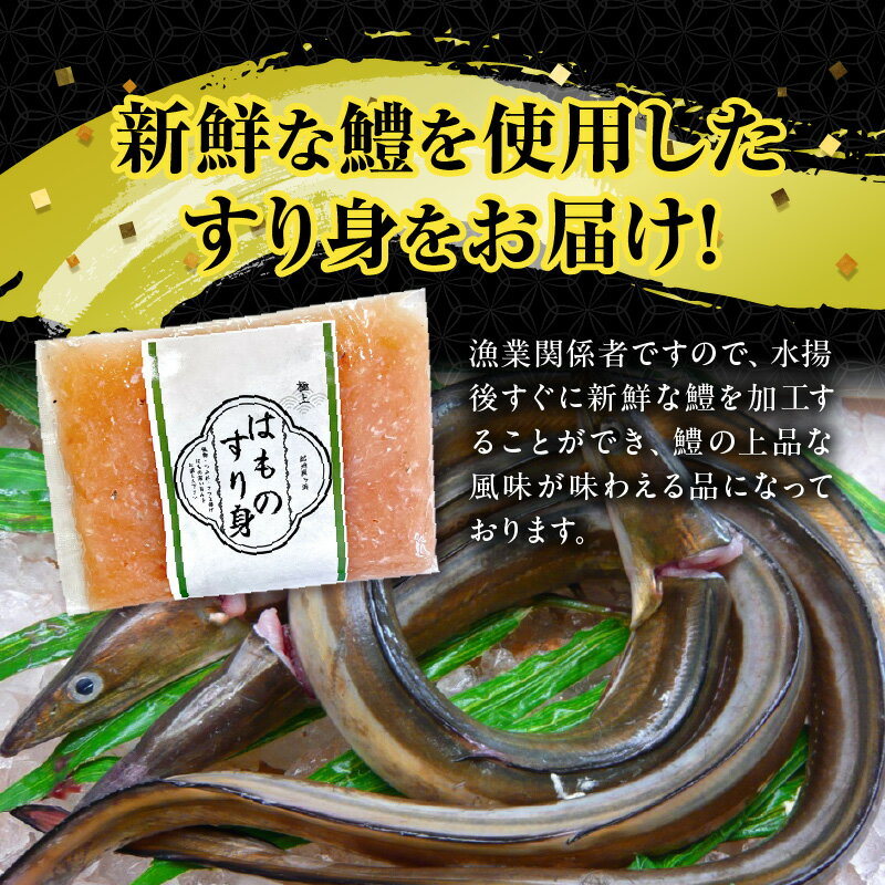 【ふるさと納税】鱧すり身 選べる 200g × 2個 ～ 8個 高級魚 鱧 漁港直送 その日に加工 真空冷凍 鮮度 キープ すり身 鍋 ハンバーグ つみれ汁 高級料亭 気分 味わえる 自宅 簡単 出来立て さつま揚げ 冷凍 お取り寄せ 和歌山県 湯浅町 送料無料
