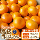 【ふるさと納税】「高級 田村みかん」 青秀 選べる 内容量 約 3kg ~ 10kg Mサイズ 和歌山県有田産 有田みかん【ミカン 蜜柑 柑橘 温州みかん 和歌山産 有田みかん】