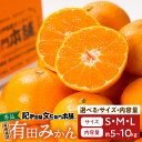 【ふるさと納税】高評価★4.59 先行予約 有田みかん 秀品 選べる サイズ 内容量 S ~ L 5kg / 10kg コク 濃厚な甘さ ジューシー ノーワックス 温州みかん みかん フルーツ 柑橘 果物 果実 国産 食品 期間限定 お取り寄せ お取り寄せフルーツ 和歌山県 湯浅町 送料無料