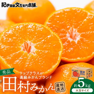 【ふるさと納税】【限定】 田村みかん/5kg秀品【大玉サイズ】/紀州和歌山有田郡湯浅町田村地区産/最高級プレミアムブランドの田村ミカン/紀伊国屋文左衛門本舗(お届け日指定不可)