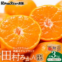 【ふるさと納税】【限定】 田村みかん/特選ギフト品3kg/サイズ指定なし/紀州和歌山有田郡湯浅町田村地区産/最高級プレミアムブランドの田村ミカン/紀伊国屋文左衛...