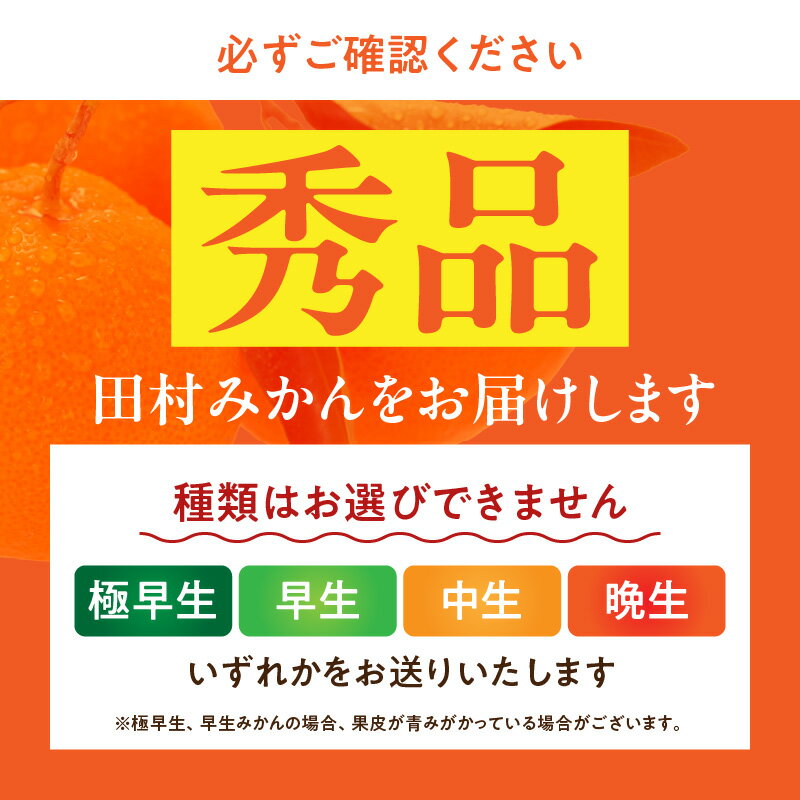 【ふるさと納税】【限定】 田村みかん／4kg秀品／サイズ指定なし／紀州和歌山有田郡湯浅町田村地区産／最高級プレミアムブランドの田村ミカン／紀伊国屋文左衛門本舗(お届け日指定不可)