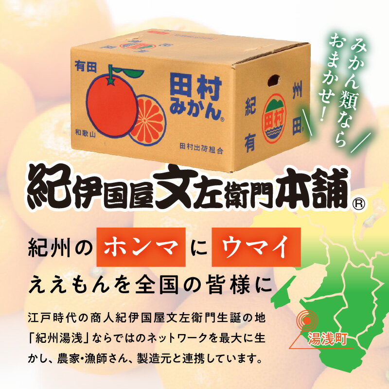 【ふるさと納税】【限定】 田村みかん／4kg秀品／サイズ指定なし／紀州和歌山有田郡湯浅町田村地区産／最高級プレミアムブランドの田村ミカン／紀伊国屋文左衛門本舗(お届け日指定不可)