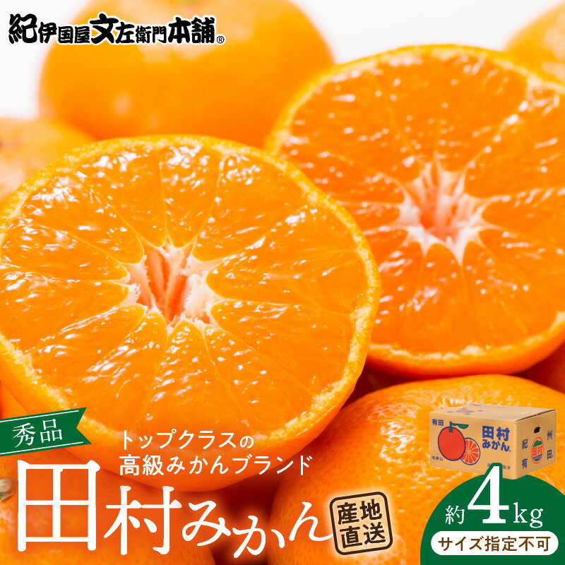 【ふるさと納税】【限定】 田村みかん/4kg秀品/サイズ指定なし/紀州和歌山有田郡湯浅町田村地区産/最高級プレミアムブランドの田村ミカン/紀伊国屋文左衛門本舗(お届け日指定不可)