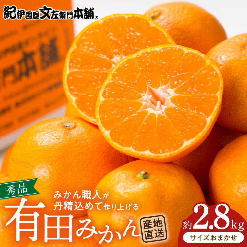 ブランド有田みかん 秀品 約2.8kg[サイズおまかせ]/産地直送/薄皮で甘い美味しい和歌山県産/紀伊国屋文左衛門本舗