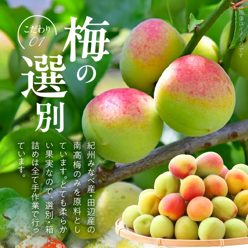 【ふるさと納税】白干し梅干し 1kg × 2箱 計2kg セット 中玉 2L サイズ 和歌山産 紀州南高梅 化粧箱入 すっぱい 白干し 梅干し 厳選 土用干し 選別 箱詰め 手作業 紀伊国屋文左衛門本舗 紀州みなべ産 田辺産 南高梅 お取り寄せ 和歌山県 湯浅町 送料無料