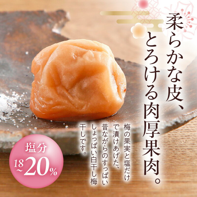 【ふるさと納税】白干し梅干し 1kg × 2箱 計2kg セット 中玉 2L サイズ 和歌山産 紀州南高梅 化粧箱入 すっぱい 白干し 梅干し 厳選 土用干し 選別 箱詰め 手作業 紀伊国屋文左衛門本舗 紀州みなべ産 田辺産 南高梅 お取り寄せ 和歌山県 湯浅町 送料無料
