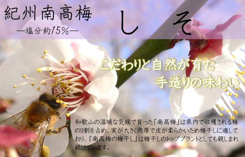 【ふるさと納税】紀州 南高梅 塩分 約15％ 850g 昔ながら 梅干し しそ 本来 紅色 香り 爽やか 酸っぱい クセ 味わい ごはん おかゆ お茶漬け お弁当 うどん トッピング お浸し 和え物 アレンジ 梅 梅肉 食品 加工品 お取り寄せ 和歌山県 湯浅町 送料無料