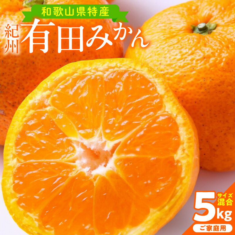 [限定] [2025年先行予約] [家庭用] 和歌山 有田みかん 5kg (サイズ混合) [ミカン 蜜柑 柑橘 温州みかん 有田みかん]