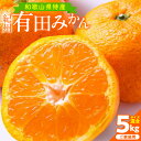 【ふるさと納税】【限定】 【2025年先行予約】 【家庭用】 和歌山 有田みかん 5kg (サイズ混合) 【ミカン 蜜柑 柑橘 温州みかん 有田みかん】