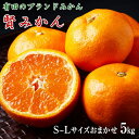 【ふるさと納税】有田ブランド「賢みかん」5kg(S~Lサイズおまかせ・秀品)【数量限定】【ミカン 蜜柑 柑橘 温州みかん 有田みかん】