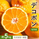 【ふるさと納税】【限定】 【先行予約】 【お味濃厚】紀州有田産 の 大玉 デコポン 5kg (12玉~18玉入り・青秀以上)