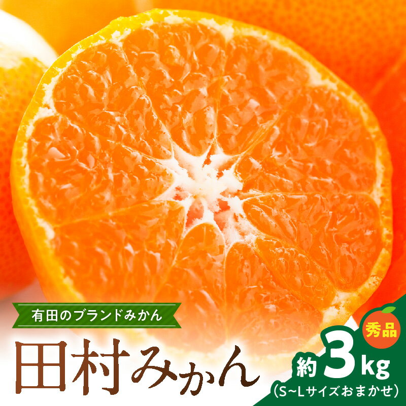 [限定] 田村みかん 約 3kg S 〜 L サイズおまかせ 秀品 甘味と酸味のバランス 濃厚 味 有田みかん 田村地区産 ブランド ミカン 高級みかん 贈答用 柑橘 フルーツ 果物 果実 デザート 国産 お取り寄せ 和歌山県 湯浅町 送料無料