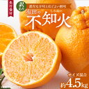 【ふるさと納税】2026年 先行予約 訳あり 有田 不知火 4.5kg サイズ混合 濃厚 甘み ほどよい 酸味 バランス 絶妙 デコポン 清見 ポンカン 柑橘 ...