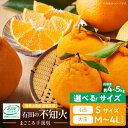 【ふるさと納税】【限定】【2026年先行予約】 不知火 選べる サイズ 小玉 大玉 S ~ 4L まごころ手選別 バランス 甘さ デコポン 有田 国産 柑橘 果物 果実 フルーツ 産地直送 食品 おやつ デザート こだわり お取り寄せフルーツ お取り寄せ 和歌山県 湯浅町 送料無料
