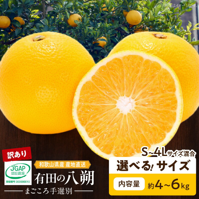 楽天市場】和歌山県 有田 八朔の通販