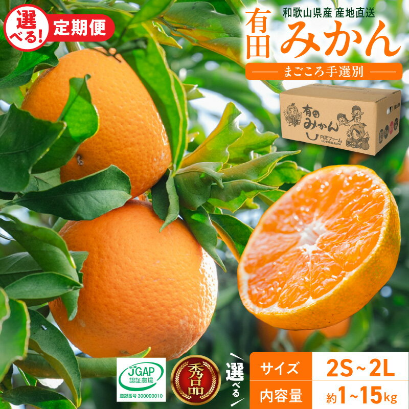 【ふるさと納税】【TVで紹介されました】 高評価 有田みかん