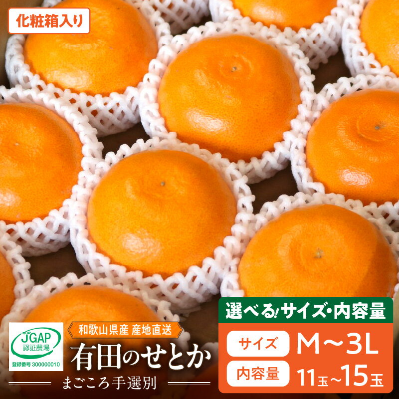 楽天市場】化粧箱 せとかの通販
