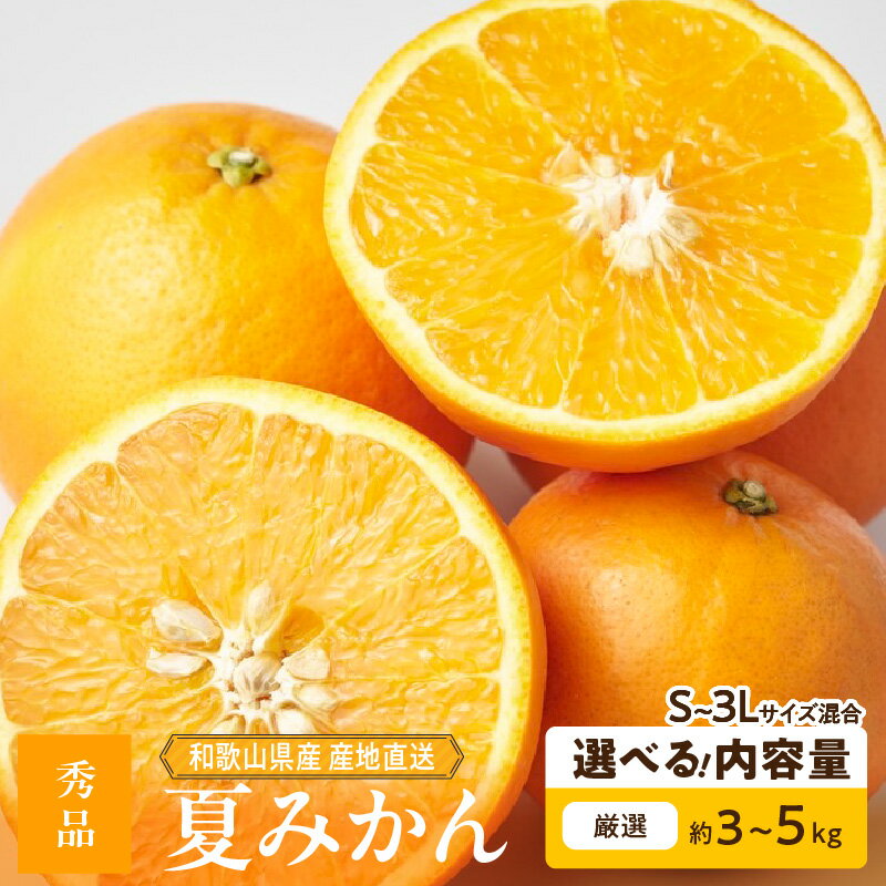 [限定] [2026年先行予約] 和歌山県産 夏みかん 秀品 選べる 内容量 3kg 5kg S 〜 3L サイズ混合 みかん 甘酸っぱい ジューシー みかん好き 愛される フルーツ 果物 デザート お取り寄せ 和歌山県 湯浅町 送料無料