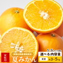 【ふるさと納税】【限定】 【2026年先行予約】 和歌山県産 夏みかん 訳あり 家庭用 選べる 内容量 3kg 5kg S ~ 3L サイズ混合 新鮮 みかん 甘酸っぱい ジューシー フルーツ 果物 柑橘 デザート お取り寄せ 和歌山県 湯浅町 送料無料