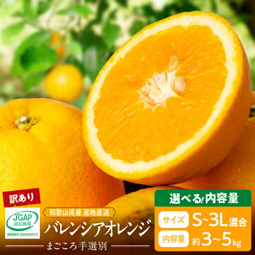【ふるさと納税】【限定】 【2026年先行予約】 和歌山県産 バレンシアオレンジ 家庭用 訳あり 選べる 内容量 3kg 5kg S~3Lサイズ サイズ混合 爽やか 酸味 甘み バランスがいい 芳醇 香り 果汁 味わい 濃厚 苦み 少ない 食べやすい 柑橘 フルーツ 果物 お取り寄せ 和歌山県 【ふるさと納税】【限定】 【2026年先行予約】 和歌山県産 バレンシアオレンジ 家庭用 訳あり 選べる 内容量 3kg 5kg S~3Lサイズ サイズ混合 爽やか 酸味 甘み バランスがいい 芳醇 香り 果汁 味わい 濃厚 苦み 少ない 食べやすい 柑橘 フルーツ 果物 お取り寄せ 和歌山県