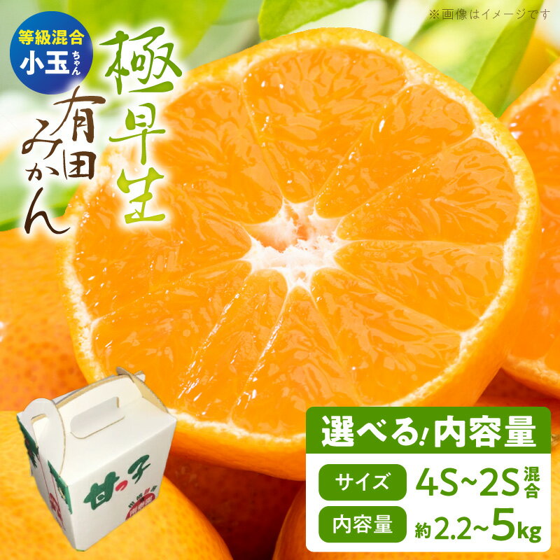 極早生 有田みかん 小玉ちゃん 選べる 内容量 約2.2kg 〜 約5kg 特秀〜青秀 等級混合 4S〜2S サイズ混合 酸味 甘み ミカン 柑橘 温州みかん 和歌山県産 柑橘専業農家 南泰園 手選別 マルチ栽培 和歌山県 湯浅町 お取り寄せ 送料無料