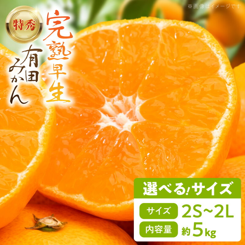 【ふるさと納税】完熟早生 有田みかん 『特秀』 選べる サイズ 2S ～ 2L 約 5kg 南泰園 早生みかん 中生みかん 晩生みかん 柑橘 お取り寄せ 和歌山県 湯浅町 送料無料(4)