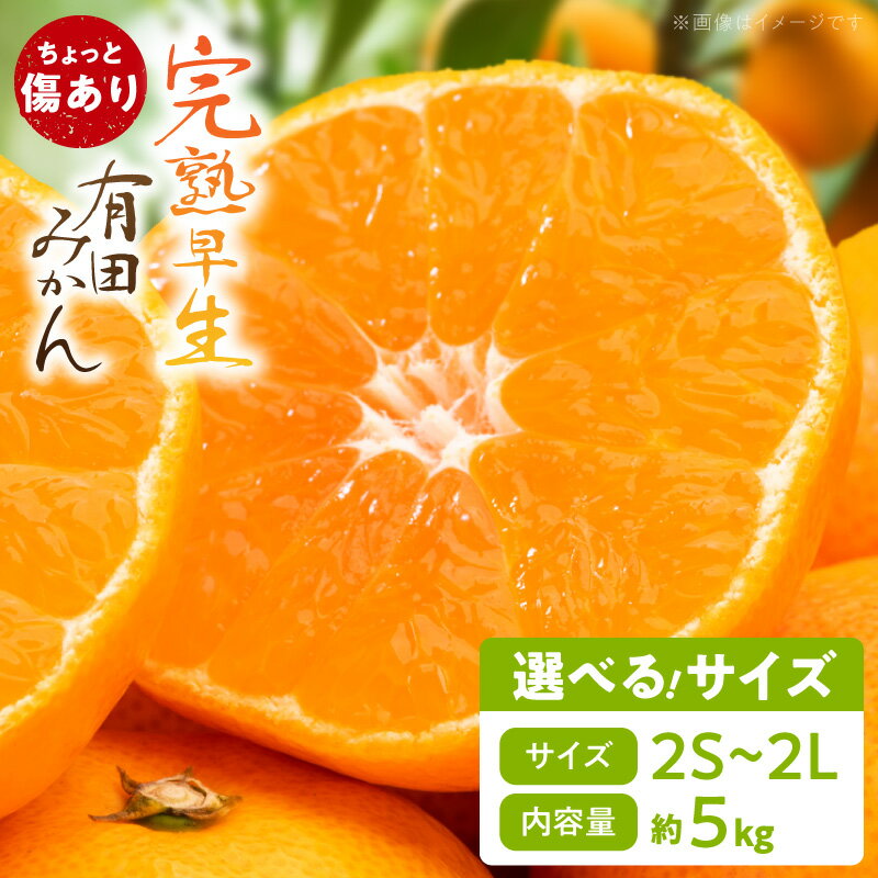 【ふるさと納税】≪年内発送≫ ちょっと傷あり 完熟早生 有田みかん 選べる サイズ 2S ～ 2L 約 5kg 南泰園 早生みかん 中生みかん 晩生みかん 柑橘 お取り寄せ 和歌山県 湯浅町 送料無料(4)