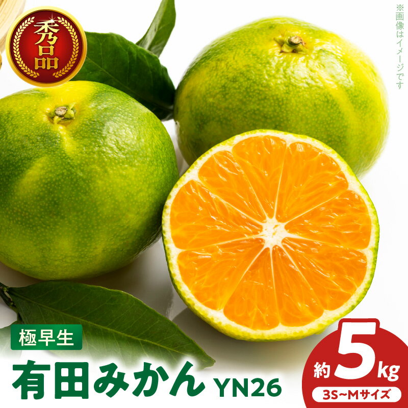 柑橘詰め合わせ⑥ 旬果(しゅんか)セット | のま果樹園