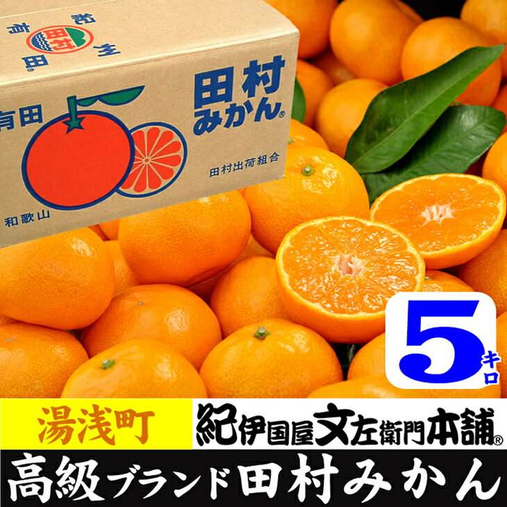 【ふるさと納税】【2024年 先行予約】田村みかん／5kg青秀／サイズ指定なし／紀州和歌山有田郡湯浅町田村地区産／最高級プレミアムブランドの田村ミカン／紀伊国屋文左衛門本舗(お届け日指定不可)