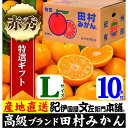 【ふるさと納税】田村みかん/特選ギフト品10kg【Lサイズ】赤秀/紀伊国屋文左衛門本舗