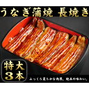 【ふるさと納税】国産うなぎ蒲焼 特大サイズ3尾セット(有頭)【冷凍】