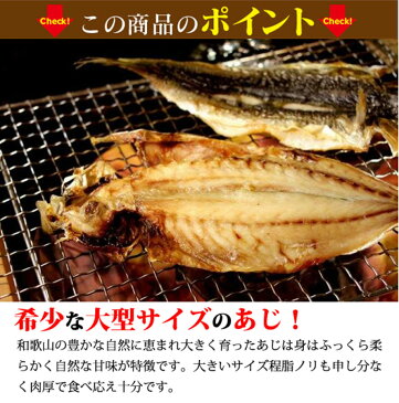 【ふるさと納税】紀州和歌山産あじ干物20尾※お申込みいただいた商品の発送は6月上旬〜7月上旬になります