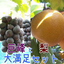 【ふるさと納税】巨峰と梨 大満足セット【お届け日指定不可】※...