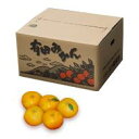 【ふるさと納税】有田みかん(温州) 10kg