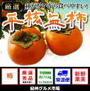 【ふるさと納税】【秋の味覚】和歌山の(人気)種なし柿 たっぷ...
