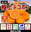 【ふるさと納税】和歌山県産 デコポン(秀品)　約5kg〔15玉〜24玉〕和歌山から産地直送