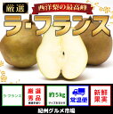 【ふるさと納税】西洋梨の最高峰 ラ・フランス たっぷり5Kg 紀州グルメ市場