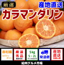 【ふるさと納税】【産地直送】カラマンダリン 約5kg(S?2L)紀州グルメ市場