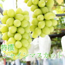【ふるさと納税】特撰 シャインマスカット 約4kg◆※平成3...