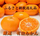 【ふるさと納税】厳選!濃厚有田みかん 10kg