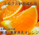 【ふるさと納税】厳選!!濃厚清見オレンジ 8kg
